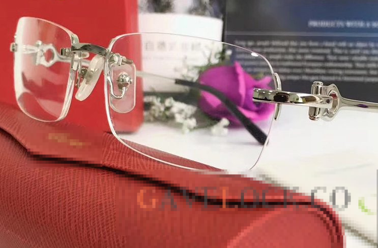2 Clear Frame Eyeglasses - 2 Rings GL177742